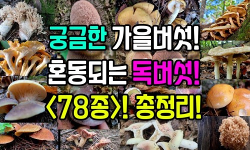 重庆生物有药用网 - 网站提供重庆地区的生物制药公司小常识、重庆生物制药公司排名