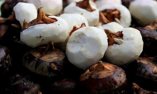 重庆有名的生物医药公司-重庆生物有药用网 - 网站提供重庆地区的生物制药公司小常识、重庆生物制药公司排名
