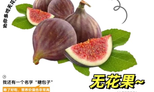 重庆生物有药用网 - 网站提供重庆地区的生物制药公司小常识、重庆生物制药公司排名